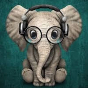 Meet your Posher, Jamiah